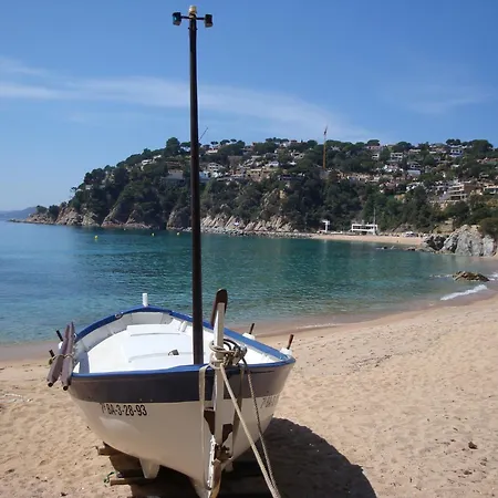 Cirici Vila