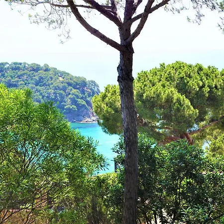 Cirici Villa Lloret de Mar
