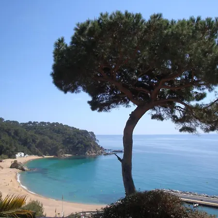 Cirici Villa